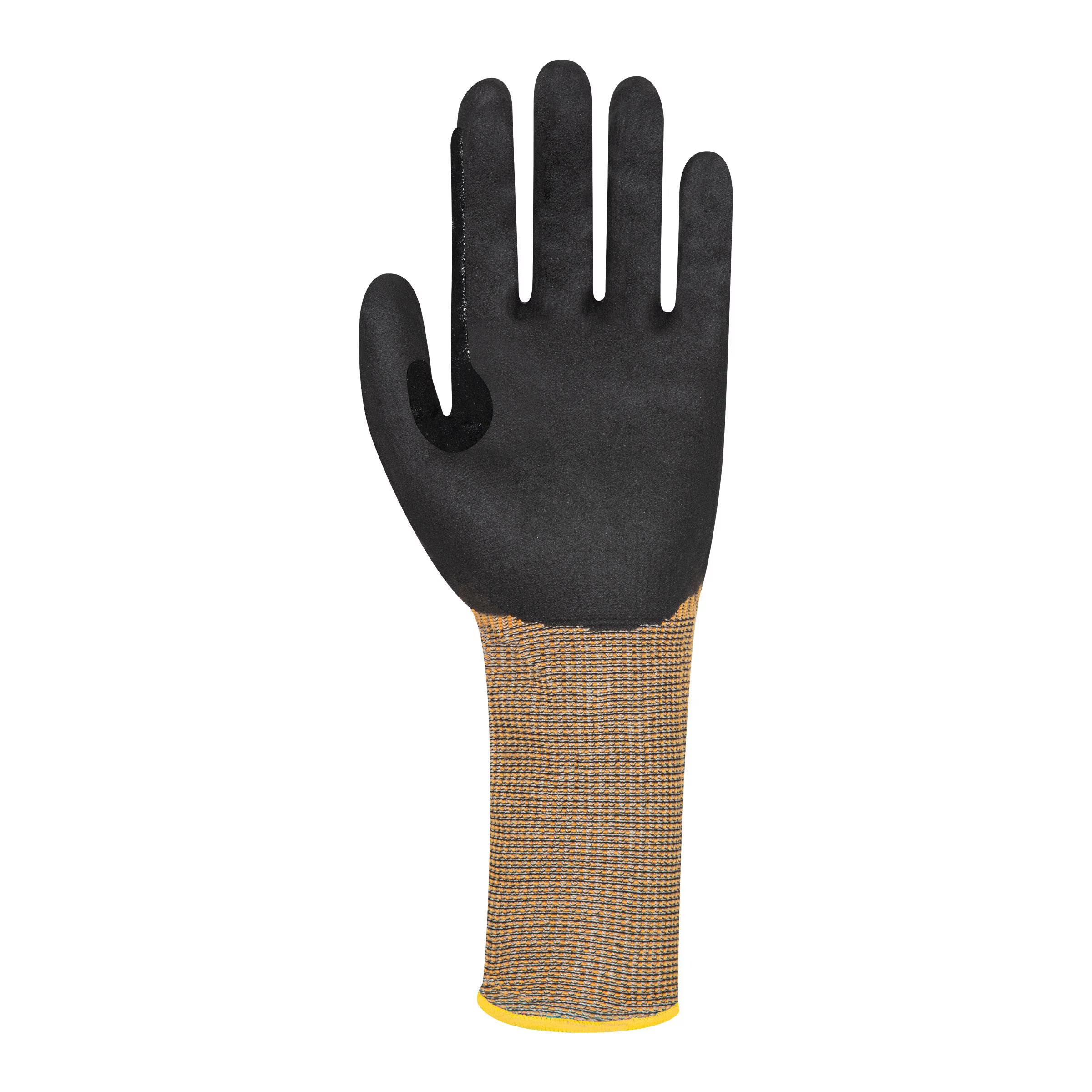 Graphex Premier EXT - GFPR501